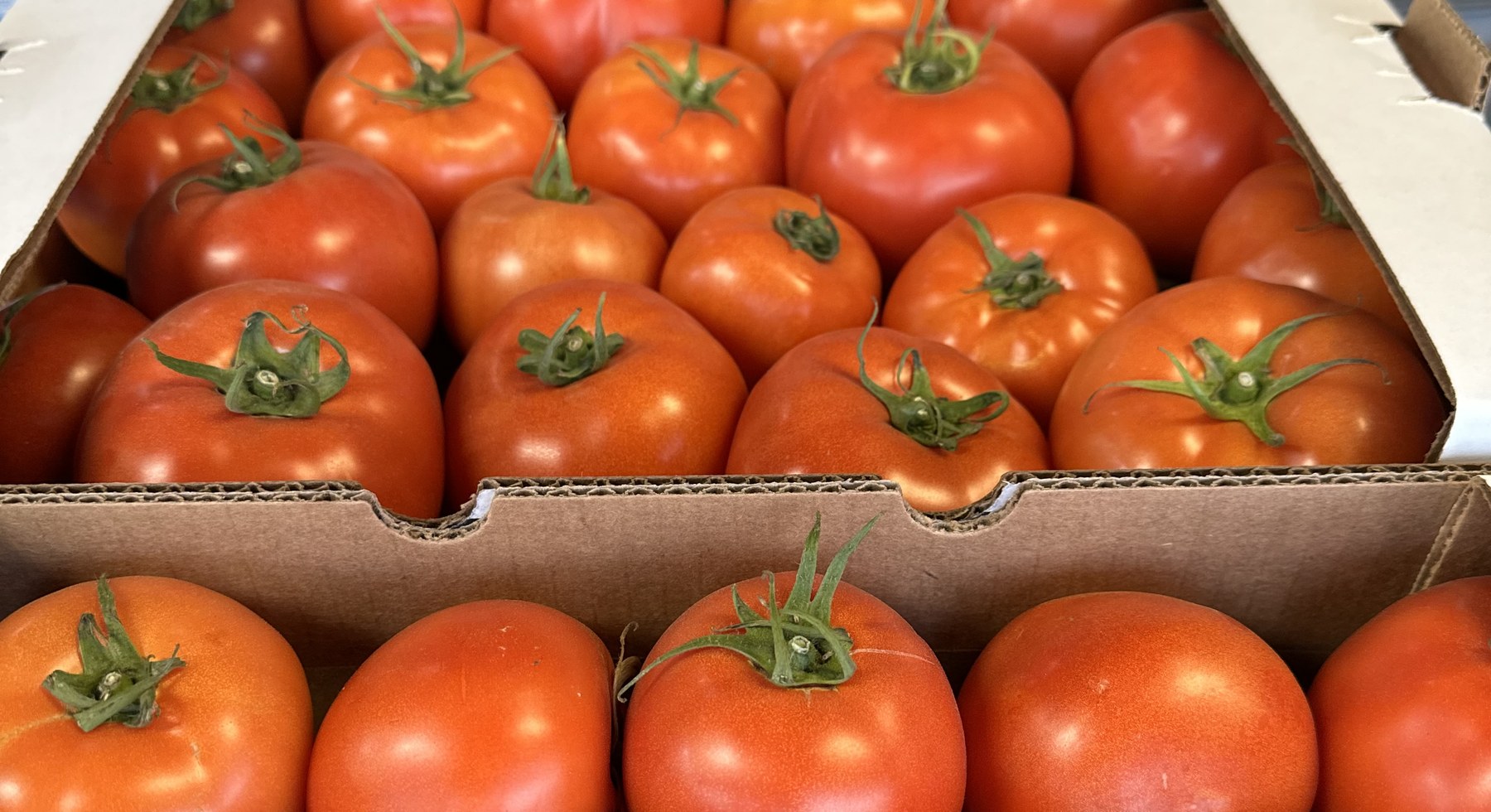 Cases of tomatoes staged for foodservice sourcing